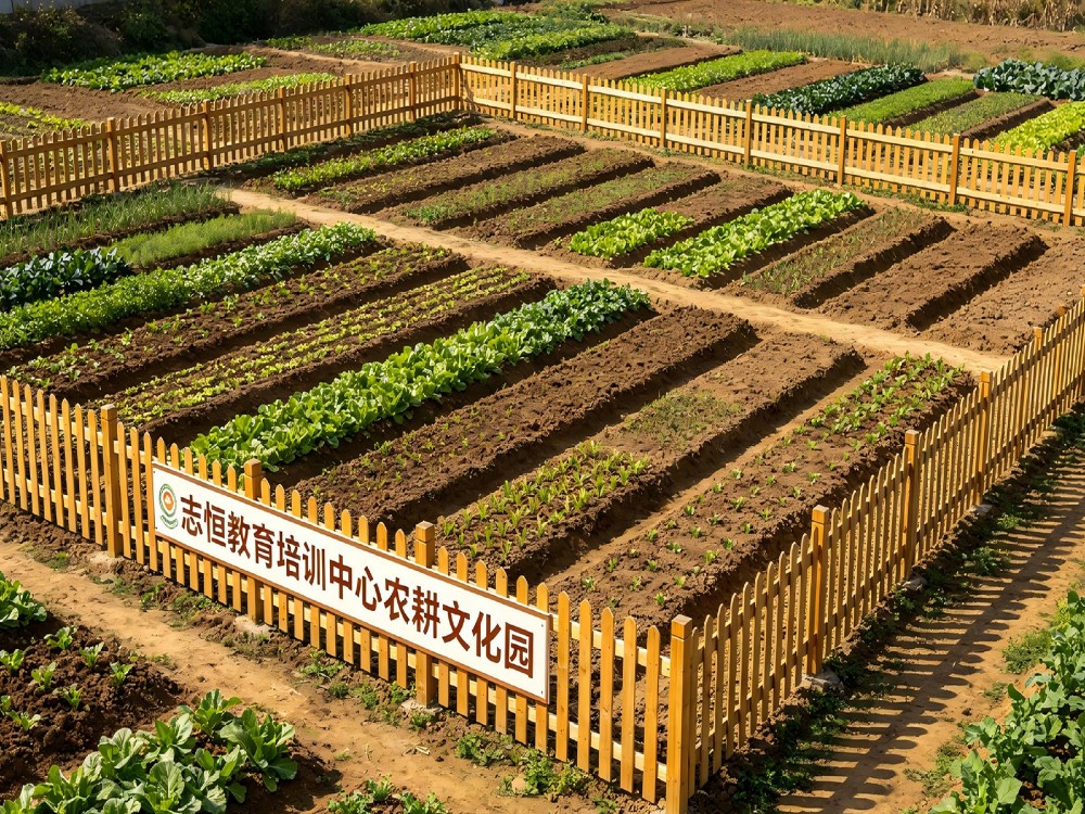 河源叛逆孩子改变学校怎么选？资深教育工作者给出这份择校全攻略